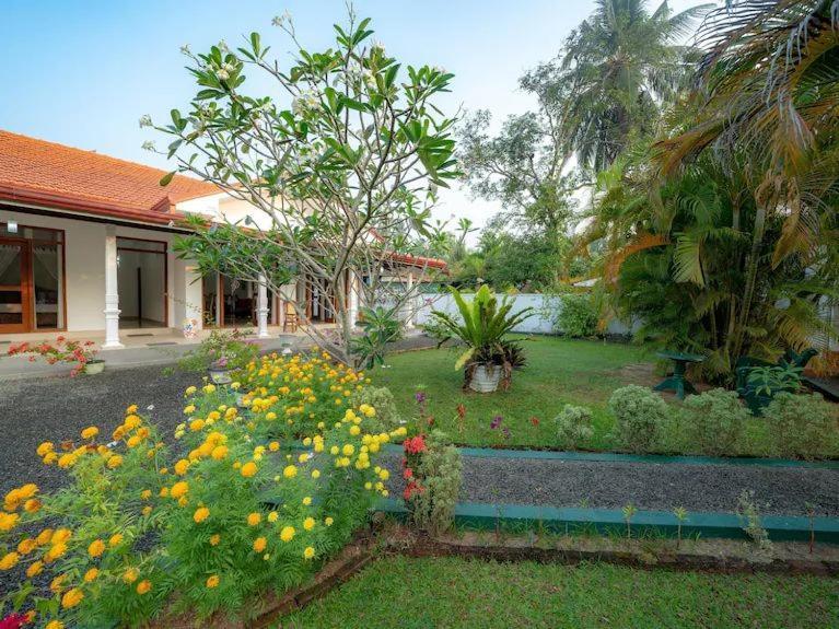 Araliya Villa Moragalla Extérieur photo